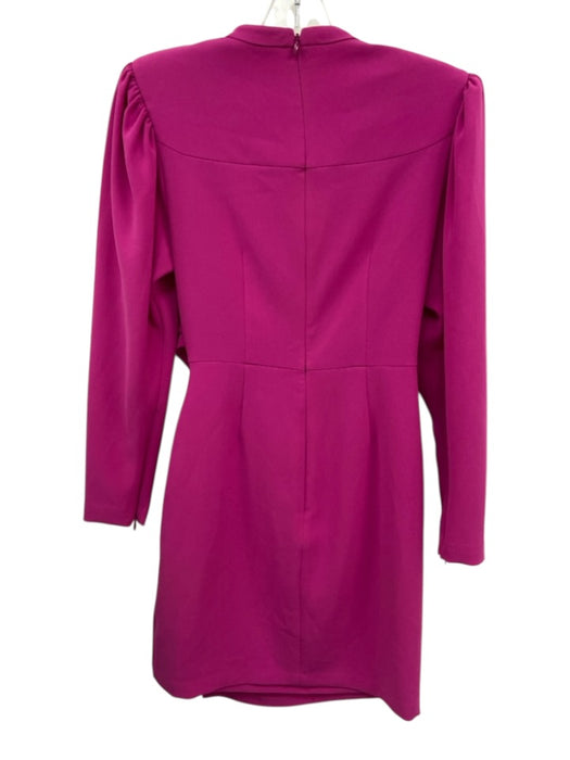 A.L.C. Size 0 Hot pink Triacetate Blend Long Sleeve rouched detail Mini Dress Hot pink / 0