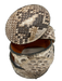 Wimberly Cream & Brown Leather Python Snake Skin Buckle Vintage Belts Cream & Brown / 34