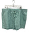 J Crew Size L Mint Green Linen & Lyocell Elastic Drawstring Waist Pockets Shorts Mint Green / L