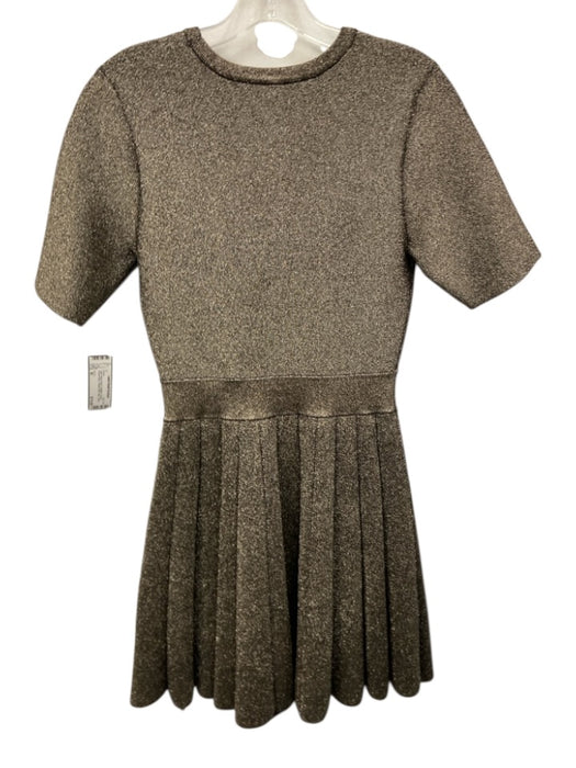 A.L.C. Size M Gold Rayon Blend Metallic Thread Round Neck Pleated Skirt Dress Gold / M
