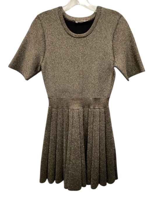 A.L.C. Size M Gold Rayon Blend Metallic Thread Round Neck Pleated Skirt Dress Gold / M