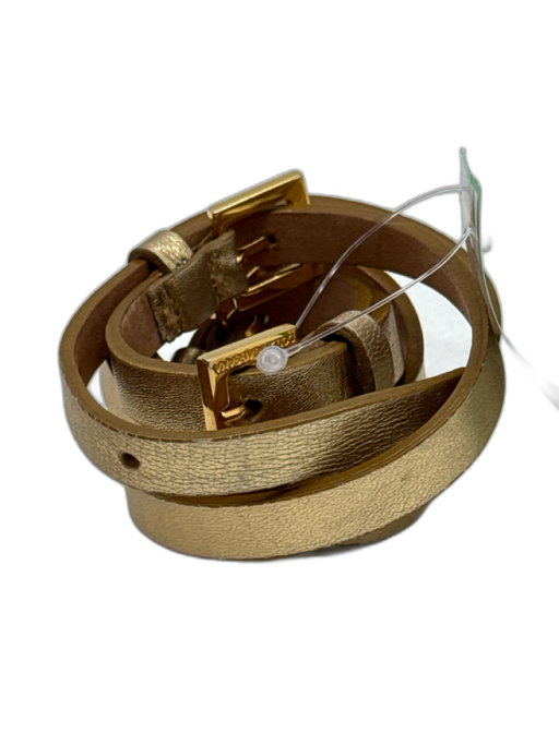 Dolce & Gabbana Gold Leather Gold hardware Buckle Detail Thin Belts Gold / M