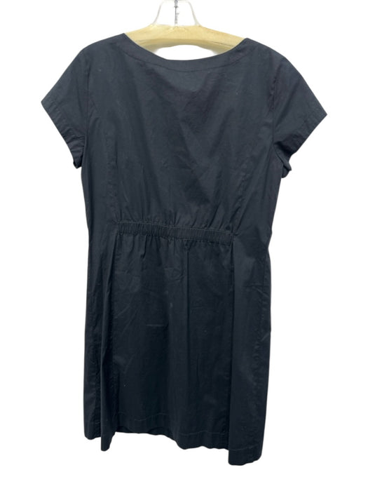 Eileen Fisher Size Medium Black Cotton Short Sleeve Elastic Waist Dress Black / Medium