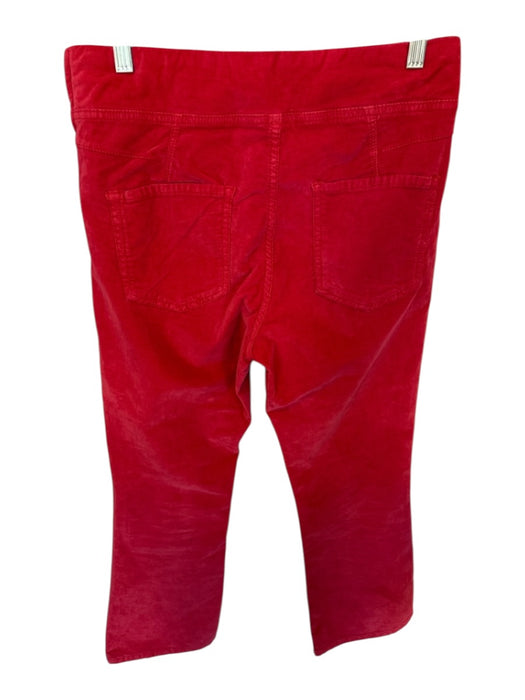 Free People Size S Red Velvet Side Zip Bootcut Pants Red / S