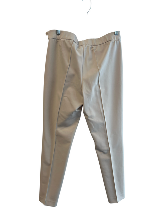 Lafayette 148 Size 8 Beige No Fabric Tag Side Zip Flat Front Seam Detail Pants Beige / 8