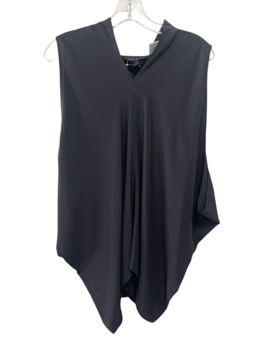Abbey Glass Size S Black Silk Sleeveless V Neck Drape Top Black / S