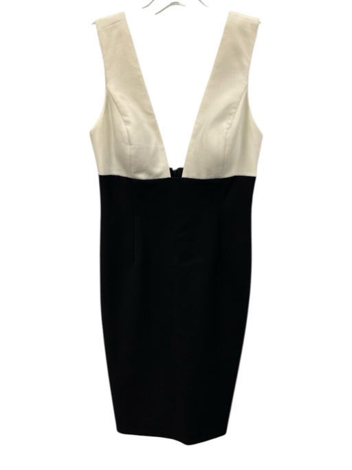 Alice + Olivia Size 8 Black & White Acetate Blend Colorblock Plunge Dress Black & White / 8