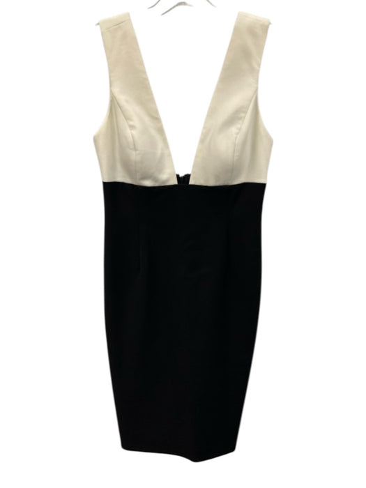 Alice + Olivia Size 8 Black & White Acetate Blend Colorblock Plunge Dress Black & White / 8
