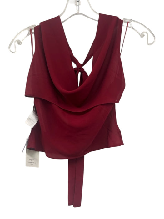 Sasha Therese Size XS Red Polyester Fold Over Tie Detail Back Cut Out Sheer Top Red / XS