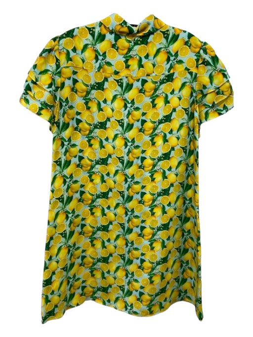 Alice + Olivia Size M Blue Yellow Green Cupro Lemon Collared Button Up Dress Blue Yellow Green / M