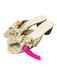 Loeffler Randall Shoe Size 9 Tan & White Fabric open toe Bow Detail Shoes Tan & White / 9