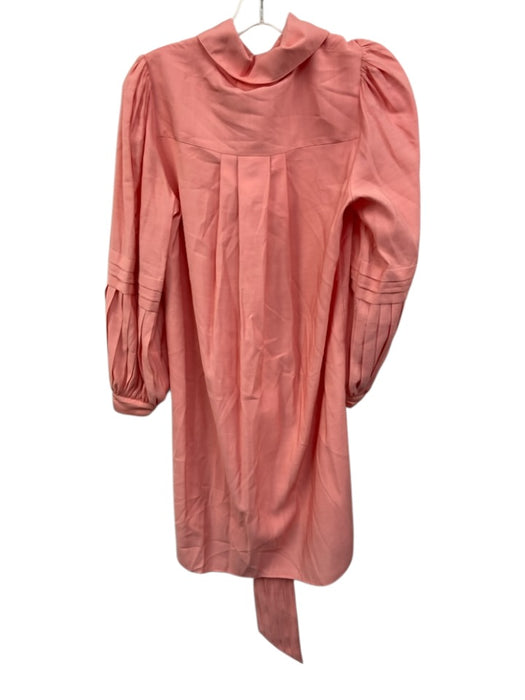 Emily McCarthy Size S Bubblegum Pink Rayon Blend Long Balloon Sleeve Shirt Dress Bubblegum Pink / S