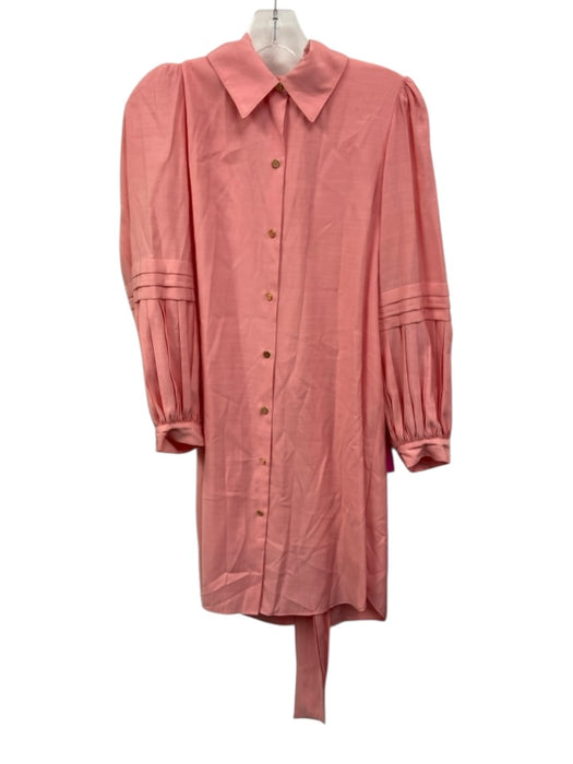 Emily McCarthy Size S Bubblegum Pink Rayon Blend Long Balloon Sleeve Shirt Dress Bubblegum Pink / S