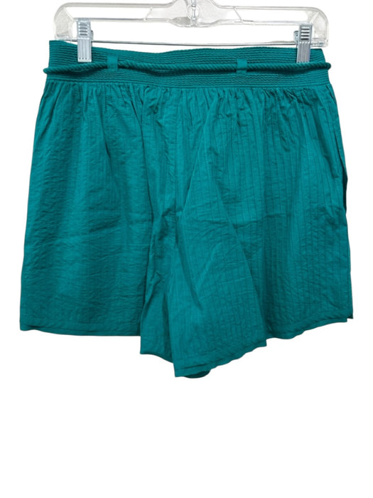 Ulla Johnson Size 4 Teal Cotton Pintuck Pleats Tie Waist Side Zip Shorts Teal / 4