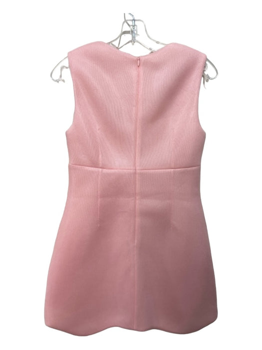 Sandy Liang Size 4 Pink Polyester Sleeveless Scoop Neck Princess Seams Dress Pink / 4