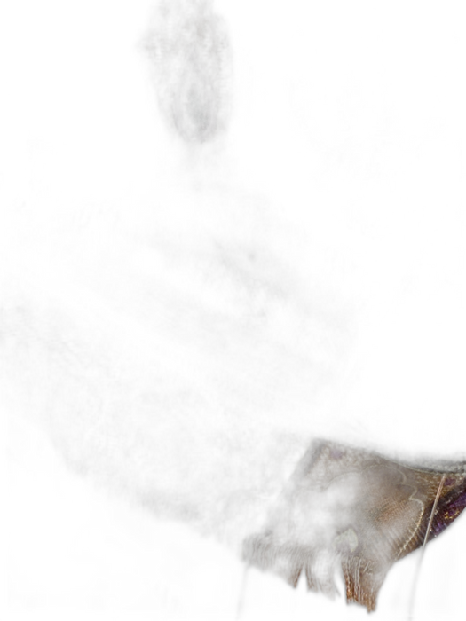 Etro Magenta, Purple, & Multi Paisley Frayed Edge Rectangle scarf Magenta, Purple, & Multi