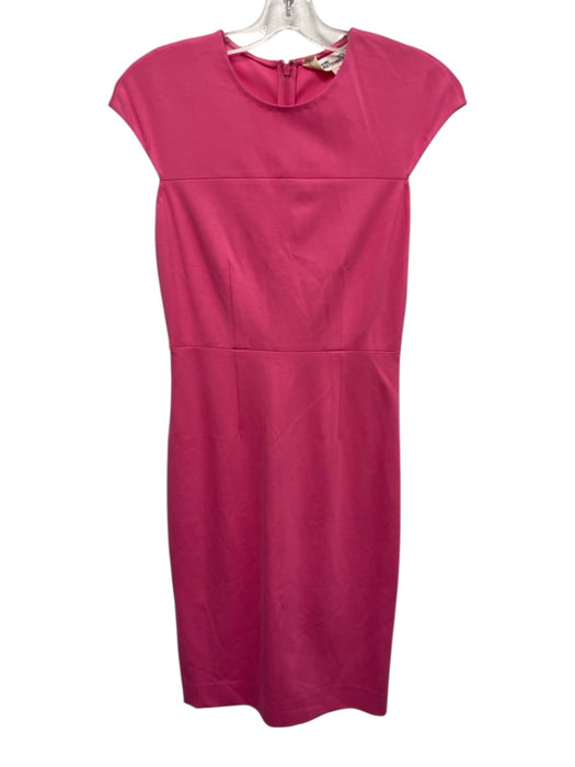 Diane Von Furstenberg Size 0 Bubblegum Pink Rayon & Nylon Cap Sleeve Dress Bubblegum Pink / 0