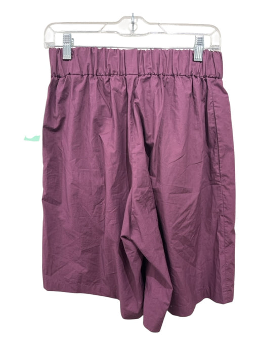 Studio Nicholson Size 1 Purple Cotton Elastic Waist Drawstring Pockets Shorts Purple / 1