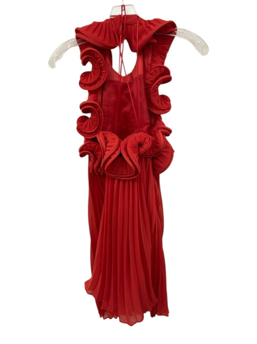AMUR Size 2 Red Polyester Halter Neck Accordion Pleat Swirl Open Back Dress