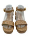 Larroude Shoe Size 8.5 Beige Raffia Woven Ankle Buckle Platform Sandals Beige / 8.5