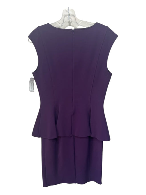 St John Size 8 Plum Purple Viscose & Polyester V Neck Sleeveless Back Zip Dress Plum Purple / 8