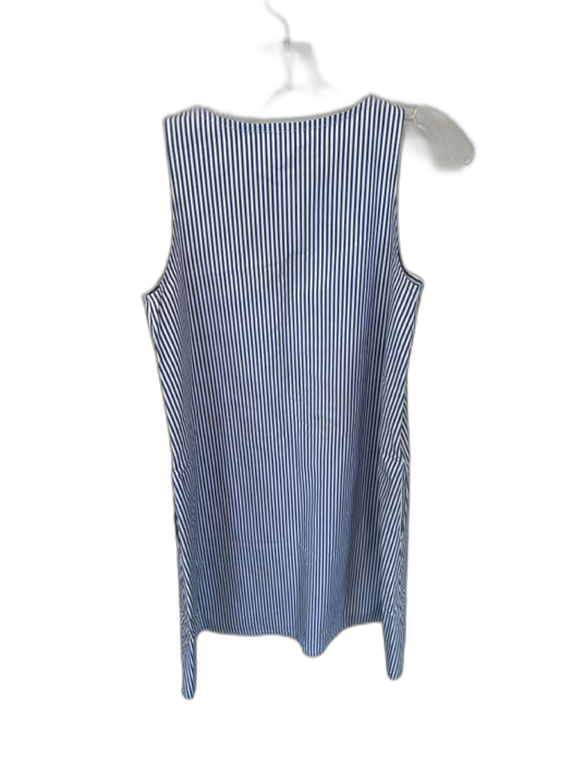 Ann Mashburn Size XS Blue & White Cotton Sleeveless Striped Dress Blue & White / XS