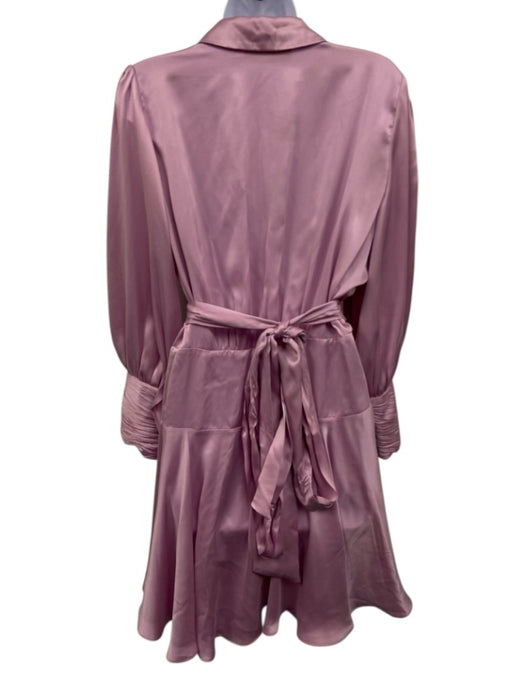 Zimmermann Size 3 Pink Silk Long Sleeve Wrap Sash Incl. Knee length Dress Pink / 3