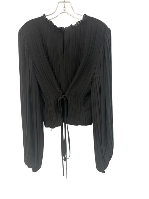 Frame Size L Black Polyester Accordion Pleats Long Balloon Sleeve Tie Back Top Black / L