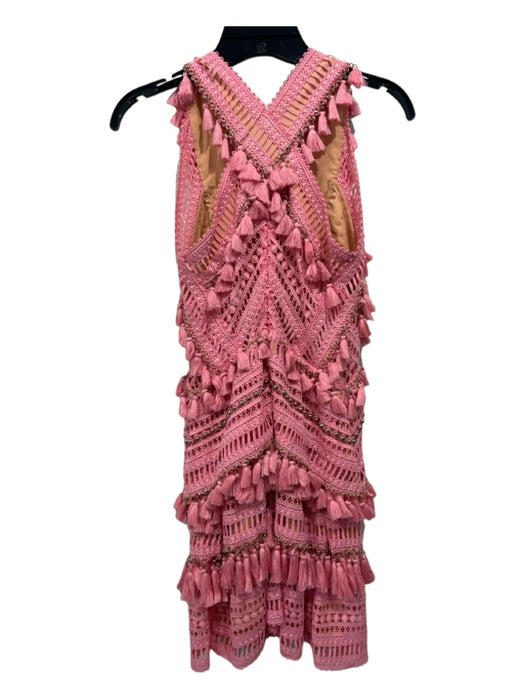 Thurley Size 6 Pink & Beige Polyester Gold hardware Tassels V Neck Dress Pink & Beige / 6