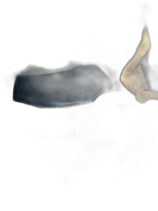 Burberry Black, Brown, White Canvas & Leather Top Handles Plaid Pouchette Bag Black, Brown, White / Small