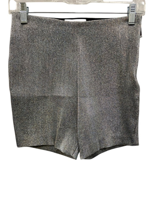 Area Size Small Iridescent Silver Cotton Blend Side Zip Shimmer High Rise Shorts Iridescent Silver / Small