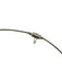 Paul Morelli Silver & White 750 18K White Gold Cable Pearl Choker Necklace Silver & White