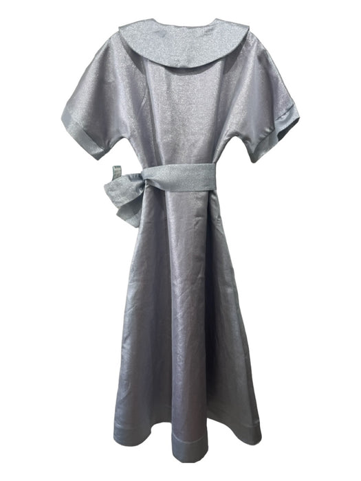 Buru Size XS Silver Polyester Shimmer Collared Button Up Short Sleeve Maxi Dress Silver / XS