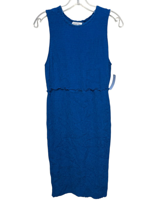 Apiece Apart Size M Blue Viscose Smocked Sleeveless Midi Solid Dress Blue / M