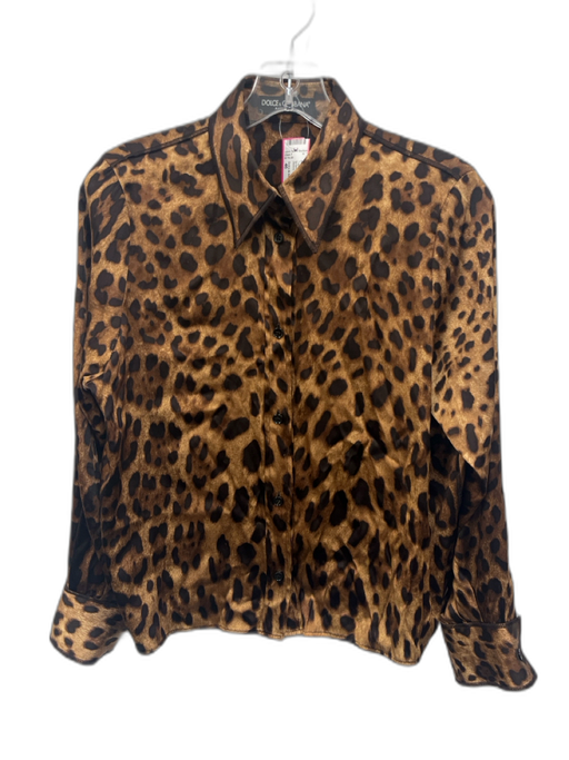 Dolce & Gabbana Size 46 Brown Multi Silk & Spandex Long Sleeve Animal Print Top Brown Multi / 46
