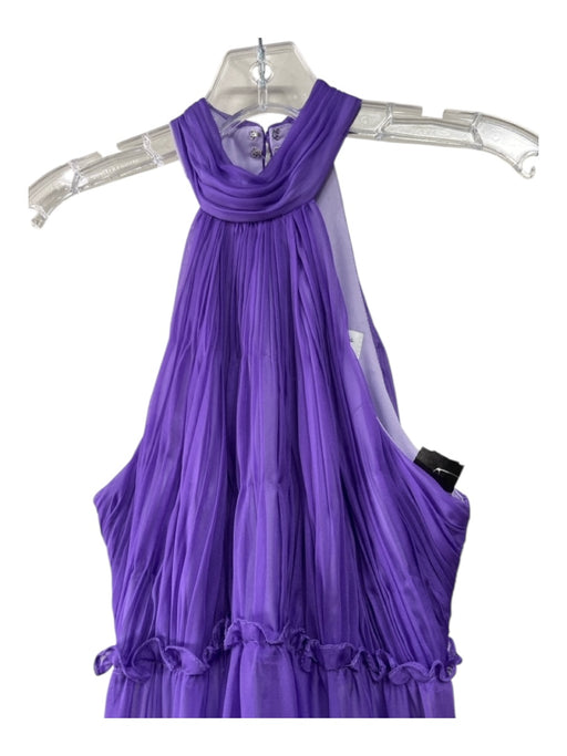 Ieena for Mac Duggal Size 2 Purple Polyester Sleeveless Back Zip Pleated Dress Purple / 2