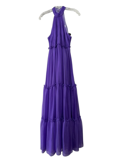 Ieena for Mac Duggal Size 2 Purple Polyester Sleeveless Back Zip Pleated Dress Purple / 2