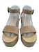 Gianvito Rossi Shoe Size 39.5 Beige Suede Jute Sandal Ankle Buckle Wedges Beige / 39.5