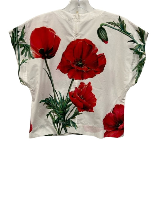 Dolce & Gabbana Size 38 White, Red & Green Cotton Floral Cap Sleeve Back Zip Top White, Red & Green / 38