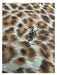YSL Brown & Beige Silk Cheetah Sheer Square scarf Brown & Beige / One Size