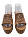Gianvito Rossi Shoe Size 39 Tan Brown Leather & Raffia Woven Platform Sandals Tan Brown / 39