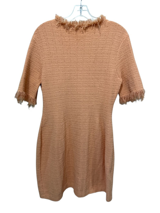 Proenza Schouler Size L Orange Viscose Blend Fringe Short Sleeve Textured Dress Orange / L