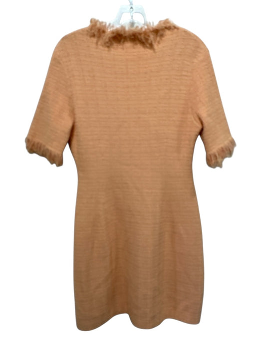 Proenza Schouler Size L Orange Viscose Blend Fringe Short Sleeve Textured Dress Orange / L