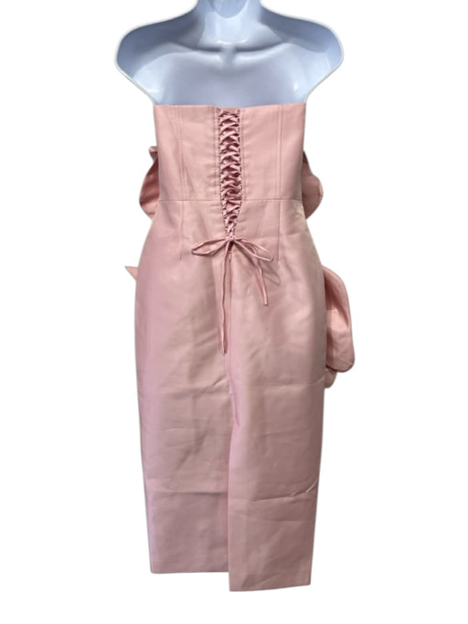 Sierra Darien Size Est M Pink No Fabric Tag 3d Floral Detail Sleeveless Dress Pink / Est M