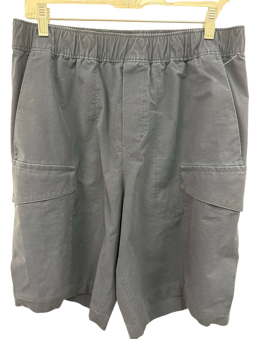 Lululemon Size L Navy Blue Solid Cargo Men's Shorts Navy Blue / L
