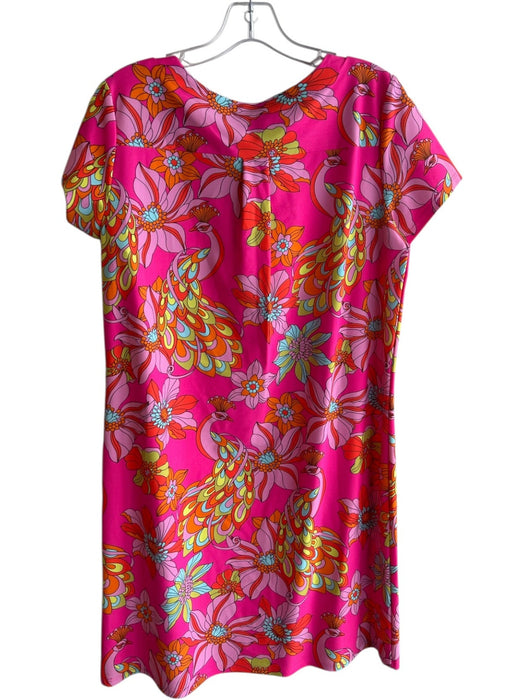Jude Connally Size M Pink Nylon & Spandex Peacock Round Neck short sleeve Dress Pink / M