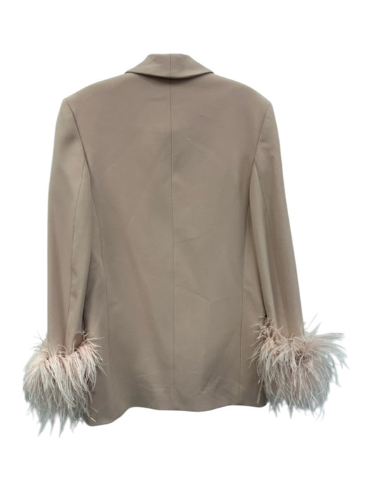 Zara Size XS Blush Beige Polyester Fit & Flare Mini Feathers Back Zip Dress Blush Beige / XS