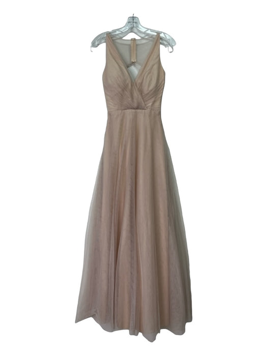 Monique Lhuillier Size 2 Blush Beige Polyester Blend Mesh Overlay Gown Blush Beige / 2