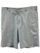 Peter Millar Size 34 Blue & White Polyester Striped Men's Shorts Blue & White / 34