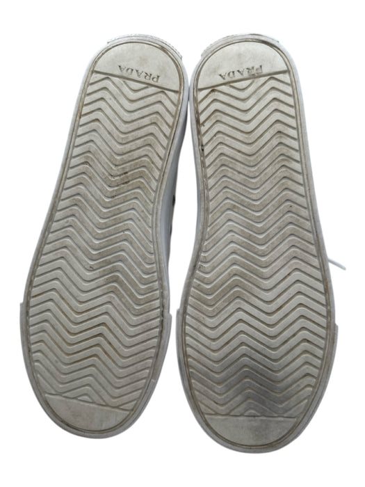 Prada Shoe Size 38.5 White Canvas round toe lace up Rubber Sole Low Top Sneakers White / 38.5